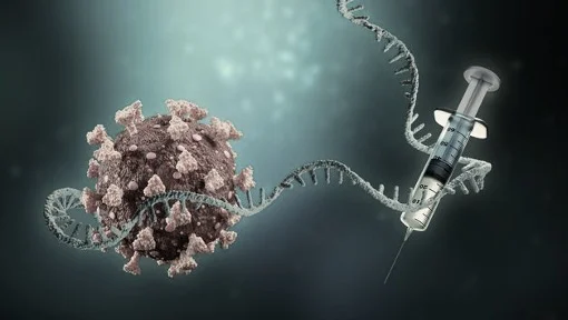 Peste polmonare e vaccino mRNA: Israele al lavoro dal 2023 su Yersinia pestis